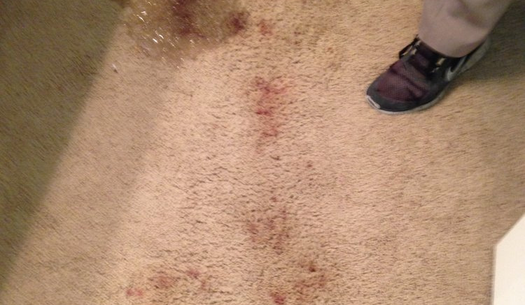 Dark red set-in spots down a beige cut pile, a worker's shoe at the edge of the frame