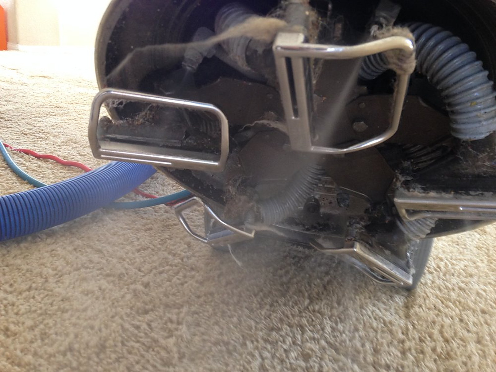 The underside of a cleaning head lifted off cream carpet, soil packed into the slots, hoses running away across the floor